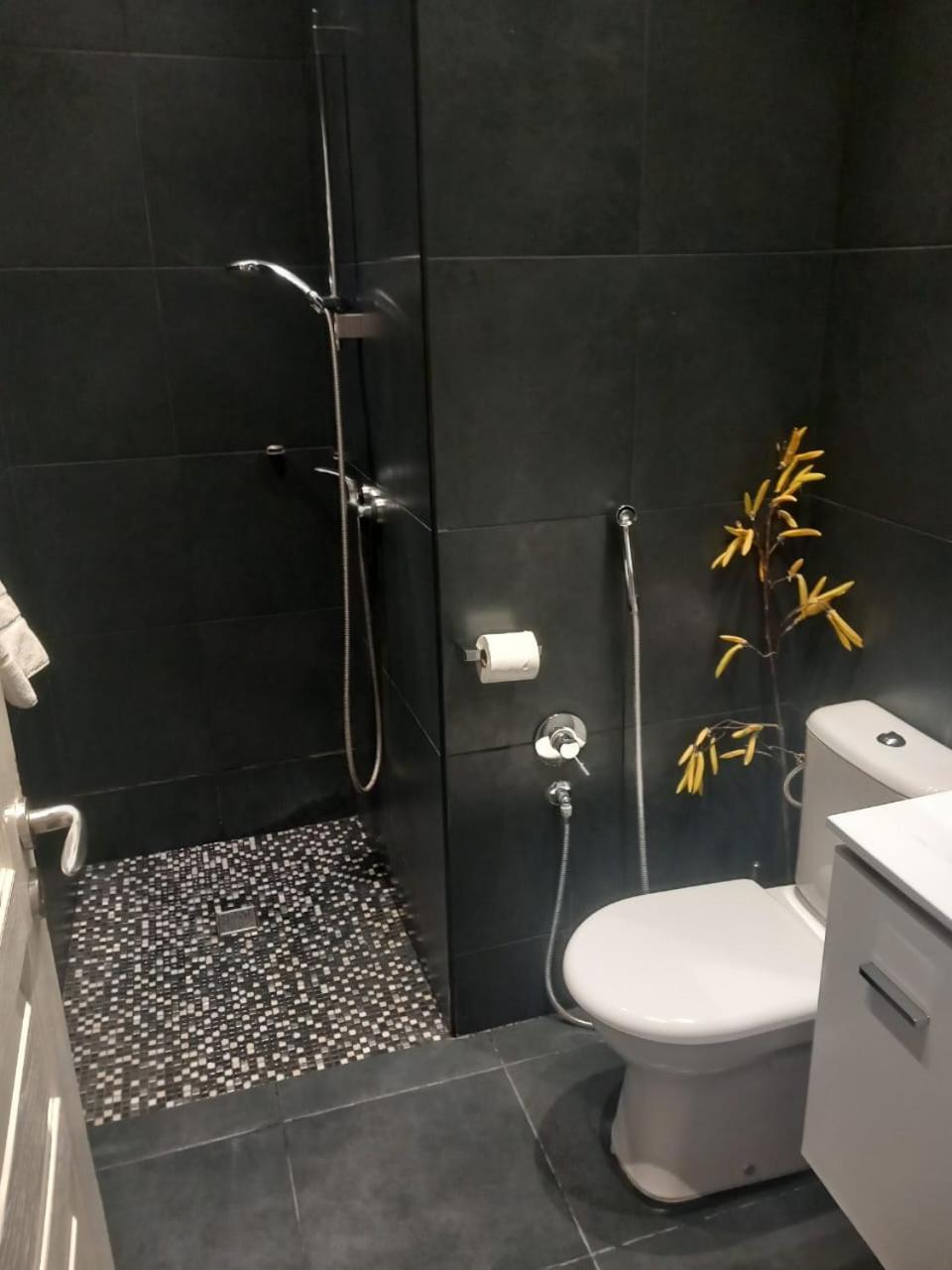 Studio "11"Near Monaco 博索莱伊 外观 照片